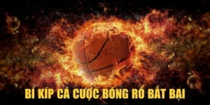 Cá Cược Bóng Rổ HB88 Nắm Bắt Kèo Thơm Từ Giải NBA Và VBA