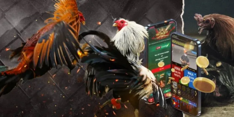 Cách Chơi Đá Gà GA28 Tại HB88 Đỉnh Cao Từ Trường Gà Uy Tín 2 Cách Chơi Đá Gà GA28 Tại HB88 Đỉnh Cao Từ Trường Gà Uy Tín