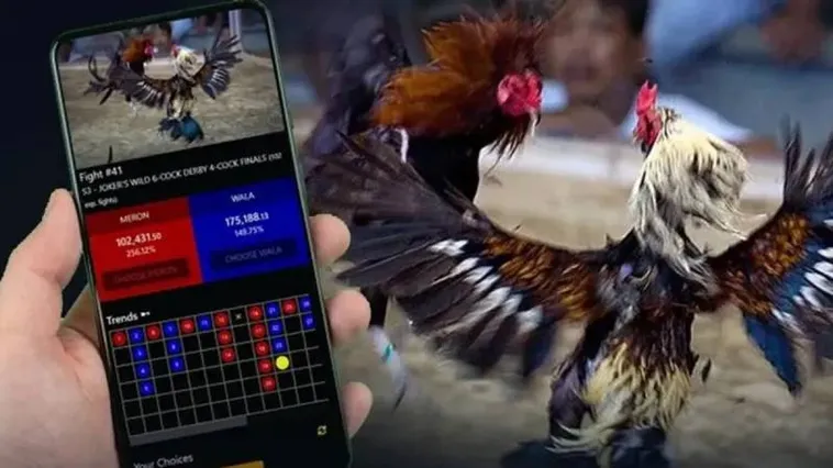 Đá Gà HB88 Đấu Trường Rực Lửa Cho Kê Thủ Chuyên Nghiệp