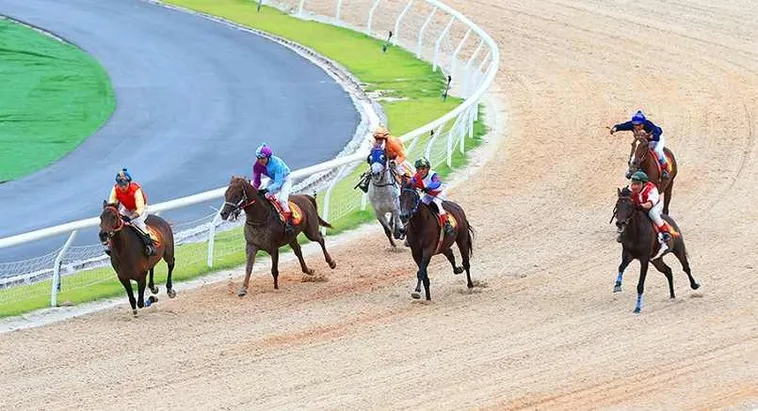 Khám Phá Cá Cược Đua Ngựa HB88 Hấp Dẫn Và Đầy Kịch Tính 1 Khám Phá Cá Cược Đua Ngựa HB88 Hấp Dẫn Và Đầy Kịch Tính