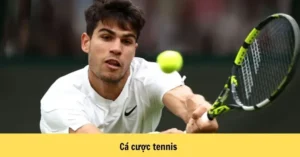 Cá Cược Quần Vợt HB88 Chinh Phục Kèo Grand Slam Cực Dễ